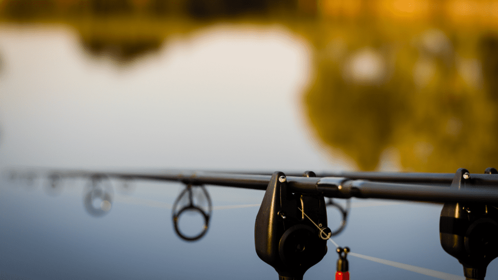 best deals and prices bite alarms on Carp fishing